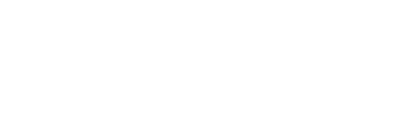 adeptaudio